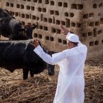 Buhari says he will retire to his farm after tenure ends
