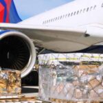 Air cargo bureaucracy, charges stifle $250bn agro-export industry