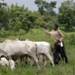 Ortom, Ohanaeze, Falana kick over unknown grazing routes