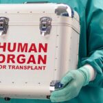 Why illegal harvesting of organs thrives in Nigeria